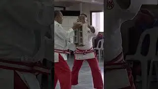 Filipino Kuntaw Martial Arts Master Breaking Concrete Blocks!