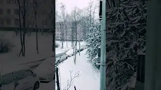 Это было прошлым летом в середине января!