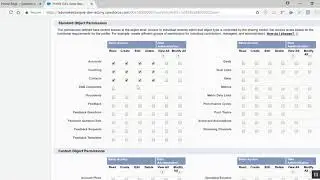 Select the checkboxes at once(Profile Permissions)