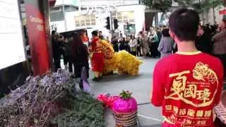 Lion's dance in Hong Kong Street - 2014