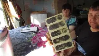 Большой СЮРПРИЗ для маленькой компании.