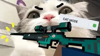 Block strike CAT MODE😹