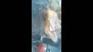 Как разделаться с головой свеньи.Холодец.