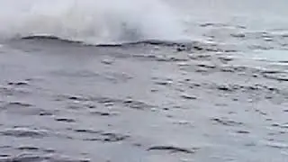 Нижние муллы Sea Doo XP