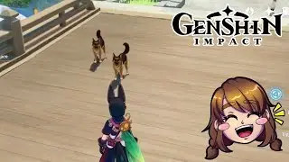 Genshin Impact | Doggo Distraction