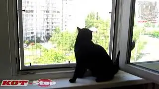 🐱 Защитная открывающаяся сетка решетка антикошка на пластиковое окно в комнату КОТ Stop