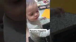 Кушать поддано #контент #рек #комедия #мудростьдня #шутки #юмор #любовь #дети