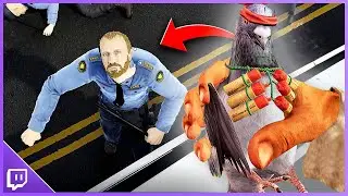 IL PICCIONE KAMIKAZE - Barbone Simulator ITA