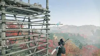 Rise of the Ronin perfect Grappler in Air