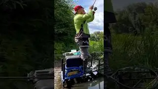 Нужны ли Ароматизаторы на леща 