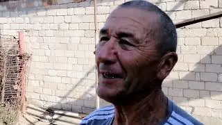 Мелитопольские голуби. Ещё один клятый любитель Мелитопольских...