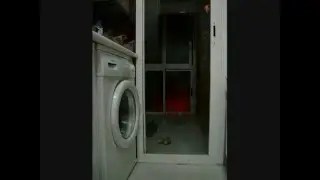 MIKA en: Spider-Mika