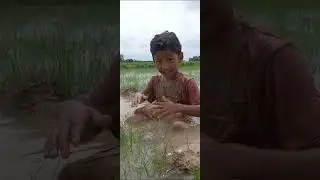 Planting the rice #sawantika vlog