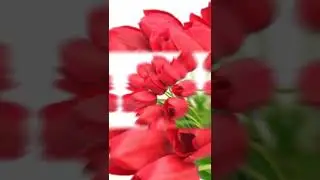 С ДНЕМ ПОБЕДЫ 9 МАЯ!