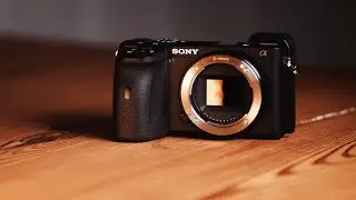 Sony A6600 Full Review - Why It BARELY Falls Short