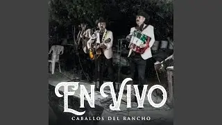 La Distancia (En Vivo)