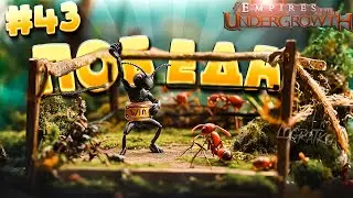 Затупил, но победил \ Прохождение Empires of the Undergrowth \ #43