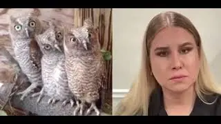 Точь в точь