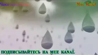 Chaki Chaki Boron