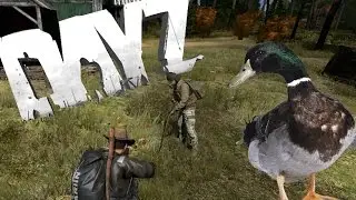 DayZ ►Новый формат выживания◄