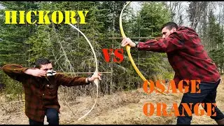 Hickory vs Osage bow building
