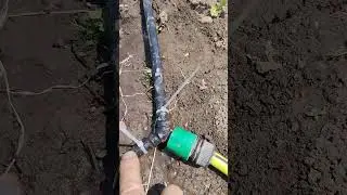 как сделать капельный полив дешево....