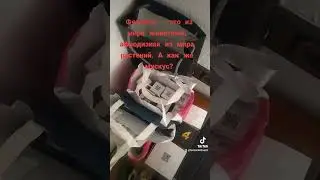 Мускусные ароматы. Аромастилистика