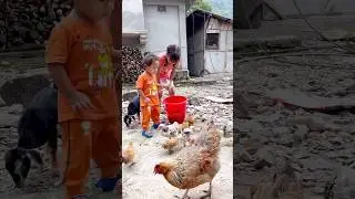 Meri Pyeri Murgi
