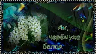 Ах, черемуха белая