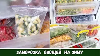Freezing Vegetables for the Winter🥕 What I Prepared 🍅 Mixes, Fruits🍒 What to Cook 🍆