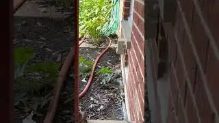 Watering your flower beds the easy way.