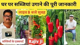 How to Grow Vegetables on Rooftop || Home Garden is live