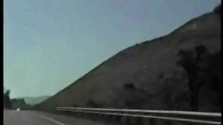 Wilbur's Travels Redwood Forest Thru San Francisco Part 3