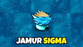 Plant Vs Zombie JAMUR SIGMA