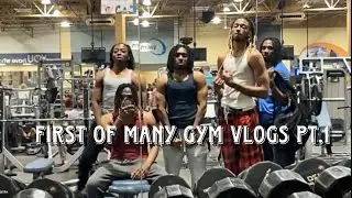 First of many Gym Vlogs Ep.1