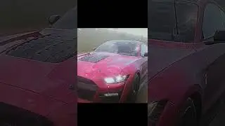 #forza