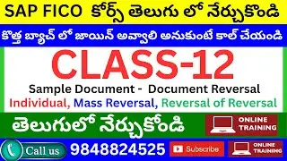 FICO Sample Document in SAP FICO Document Reversal Individual, Mass Reversal, Reversal of Reversal