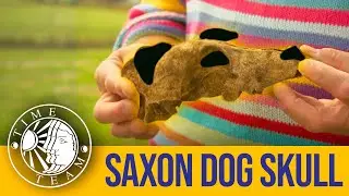 Digging Up A Saxon Dog | Time Team Classic