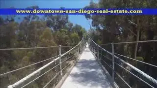 Spruce Street Suspension Bridge San Diego California - Live Stream