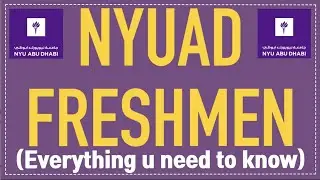 Everything a Freshmen needs to know/NYU Abu Dhabi