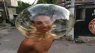 Absurd memes I found on planet earth