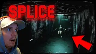 DON’T LET IT CATCH YOU [SPLICE]