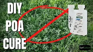 KILL POA on a Budget - The Lowdown on the Best Method.
