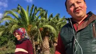 Bodrum Turgutreis'in Kış Hali 4K