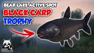 Black Carp Trophy Bear Lake / Region Weekly Record - Russian Fishing 4 Indonesia