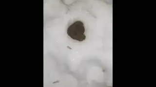 "какой кайфец" #рофл #чоколад