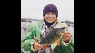 Рыбалка в ноябре. Окунь,щука на дорожку.