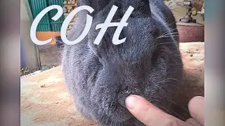 Сон. Sleep.