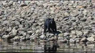 Reis mee naar Vancouver Island, Canada