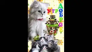 ДОБРОЕ УТРО! 